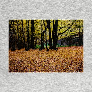 ‘Dark Wood’ - Autumn arrives, leaves fall T-Shirt